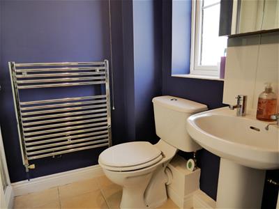 Picture 16
